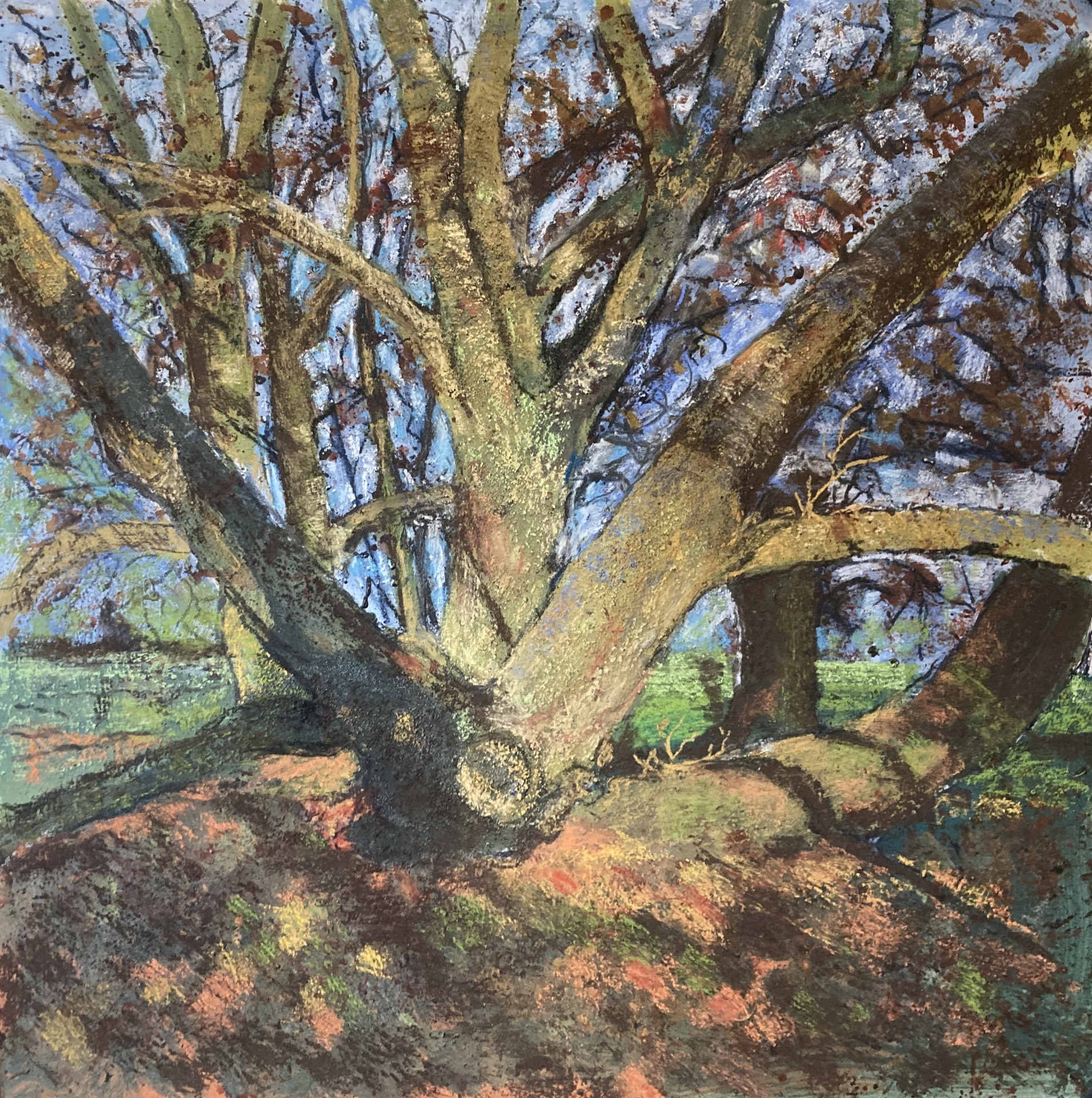 Paul is a British Artist and Tech entrepreneur, who studied at Portsmouth College of Art in the 60’s, worked in advertising before shifting to a career in technology where he used his creative skills to build and sell several businesses in the UK and Asia. In 2018 Paul went back to school, studying at the Classical Art Academy and West Dean Foundation under several acclaimed portrait and mixed media painters and now works from his studio in Hampshire. Working primarily in oils and mixed media from life and photographic references but experimenting with other mediums to create images in a contemporise style, Paul focuses on reflecting the personality of his subjects.